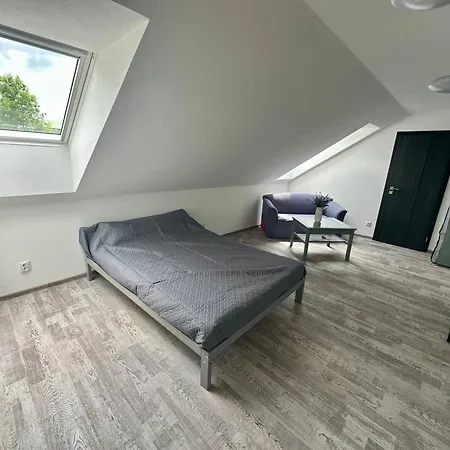 House&garden&pool Slapy (Tabor)